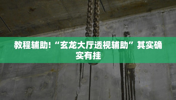 教程辅助!“玄龙大厅透视辅助”其实确实有挂