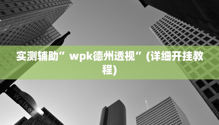 实测辅助”wpk德州透视”(详细开挂教程)