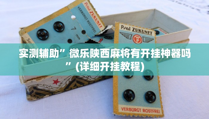 实测辅助”微乐陕西麻将有开挂神器吗”(详细开挂教程)