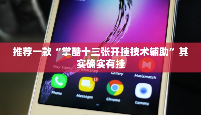 推荐一款“掌酷十三张开挂技术辅助”其实确实有挂