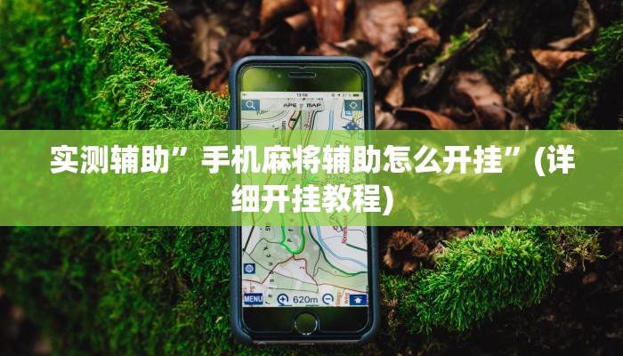 实测辅助”手机麻将辅助怎么开挂”(详细开挂教程)