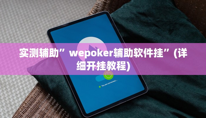 实测辅助”wepoker辅助软件挂”(详细开挂教程)
