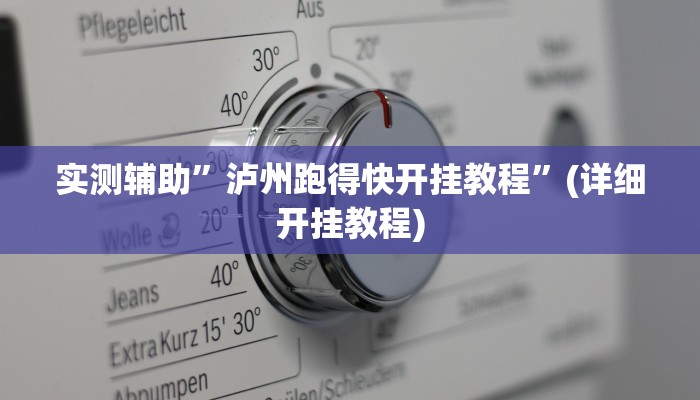 实测辅助”泸州跑得快开挂教程”(详细开挂教程)