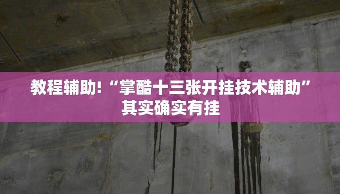 教程辅助!“掌酷十三张开挂技术辅助”其实确实有挂