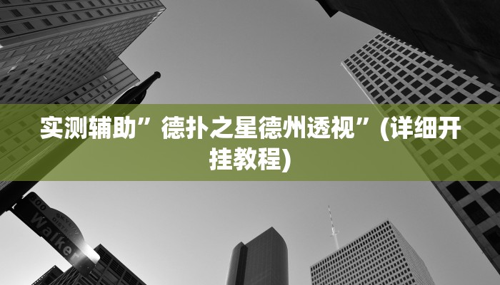实测辅助”德扑之星德州透视”(详细开挂教程)