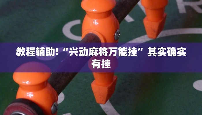 实测辅助”博雅地方棋牌辅助开挂”(详细开挂教程)