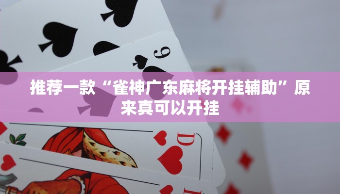 教程辅助!“wepoker德州局透视作弊挂方法”其实确实有挂