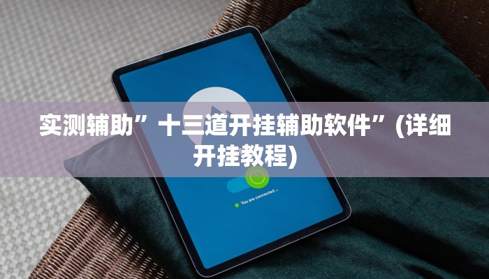实测辅助”十三道开挂辅助软件”(详细开挂教程)