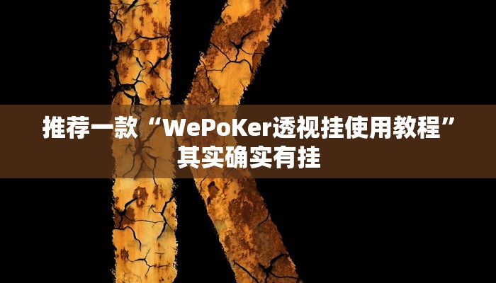 实测辅助”丽水跑得快挂怎么安装”(详细开挂教程)