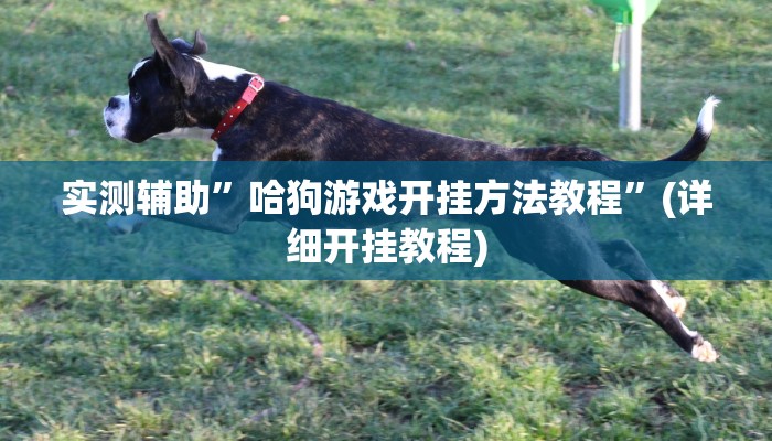 实测辅助”哈狗游戏开挂方法教程”(详细开挂教程)