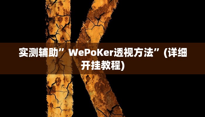 实测辅助”WePoKer透视方法”(详细开挂教程)