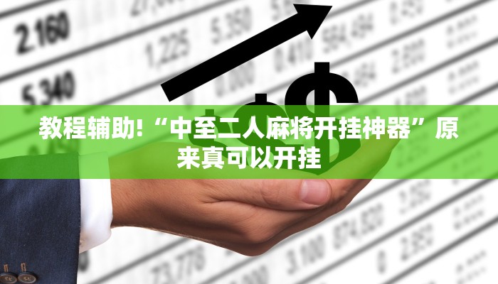 教程辅助!“中至二人麻将开挂神器”原来真可以开挂