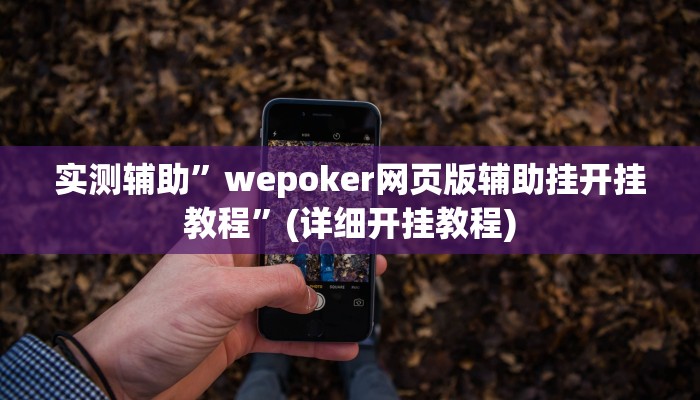 实测辅助”wepoker网页版辅助挂开挂教程”(详细开挂教程)