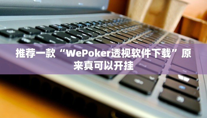 推荐一款“WePoker透视软件下载”原来真可以开挂