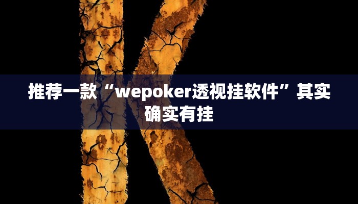 推荐一款“wepoker透视挂软件”其实确实有挂
