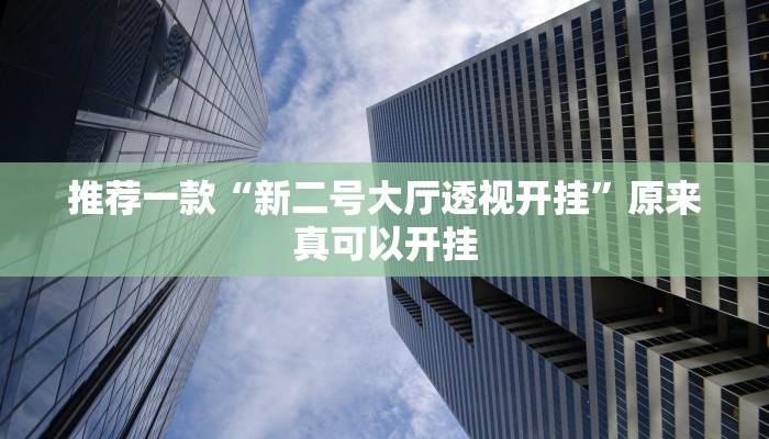 推荐一款“新二号大厅透视开挂”原来真可以开挂
