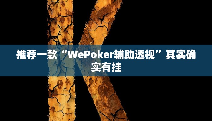 推荐一款“WePoker辅助透视”其实确实有挂