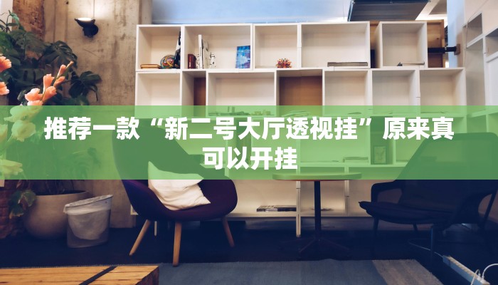 推荐一款“新二号大厅透视挂”原来真可以开挂