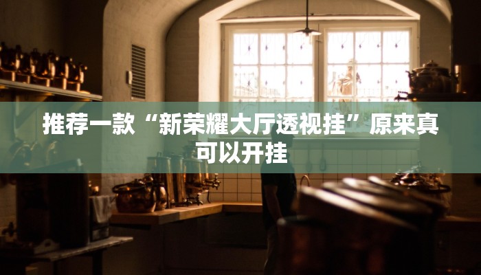 推荐一款“新荣耀大厅透视挂”原来真可以开挂
