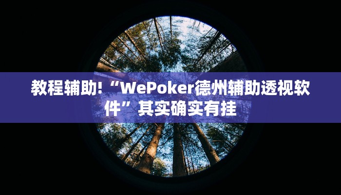 教程辅助!“WePoker德州辅助透视软件”其实确实有挂
