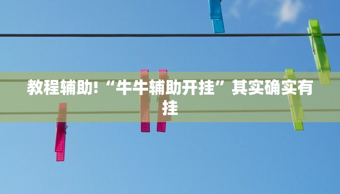 实测辅助”[德扑之星]有作弊软件吗”(详细开挂教程)
