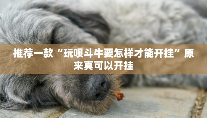 推荐一款“开心十三张开挂方法”原来真可以开挂