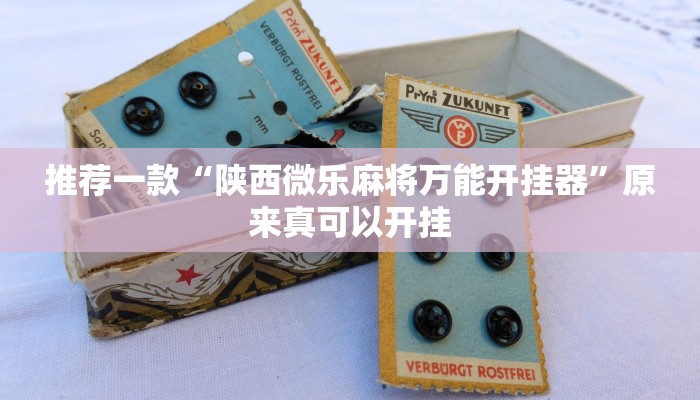 推荐一款“陕西微乐麻将万能开挂器”原来真可以开挂