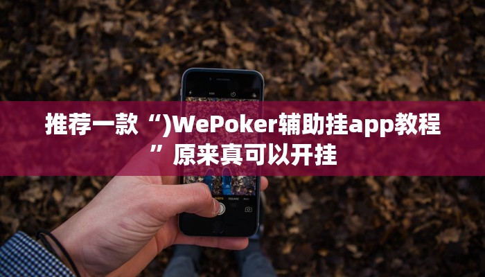 推荐一款“)WePoker辅助挂app教程”原来真可以开挂