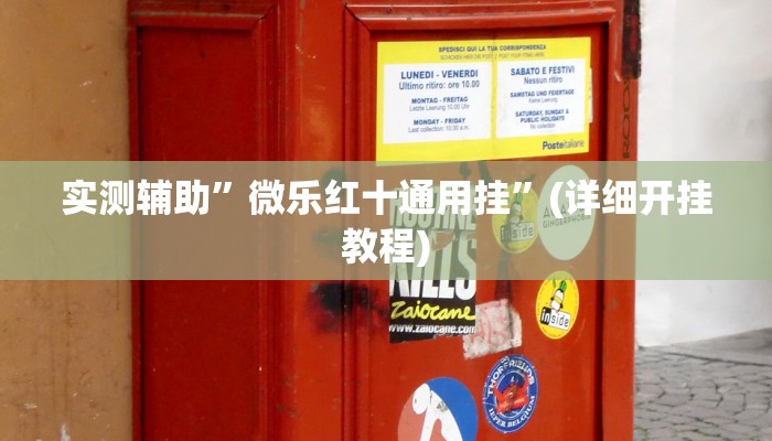 实测辅助”微乐红十通用挂”(详细开挂教程)