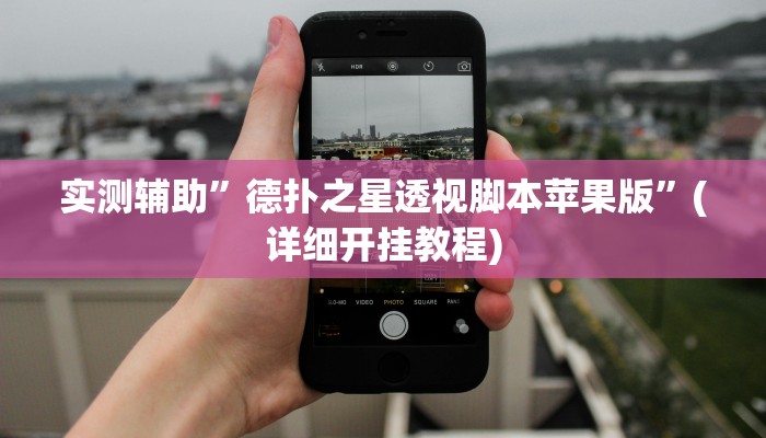 实测辅助”德扑之星透视脚本苹果版”(详细开挂教程)