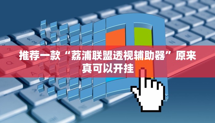 推荐一款“荔浦联盟透视辅助器”原来真可以开挂