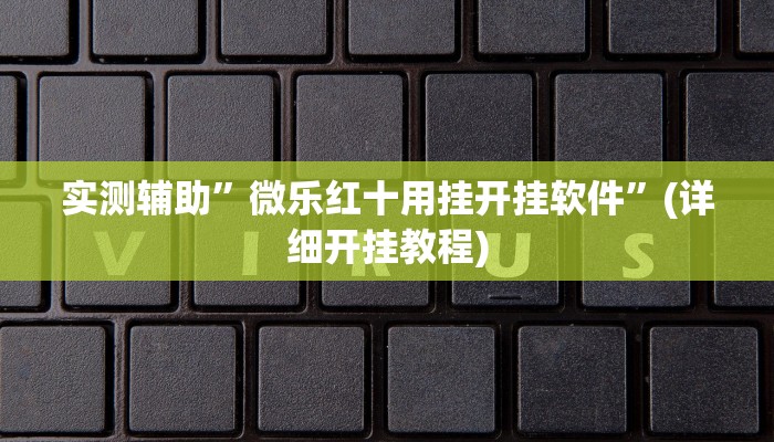 实测辅助”微乐红十用挂开挂软件”(详细开挂教程)