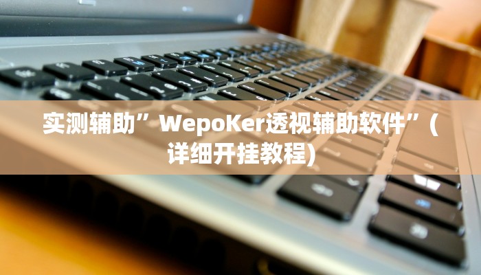 实测辅助”WepoKer透视辅助软件”(详细开挂教程)