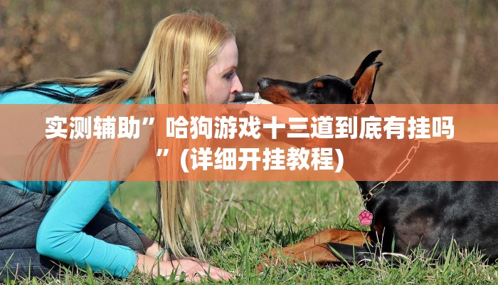 实测辅助”哈狗游戏十三道到底有挂吗”(详细开挂教程)