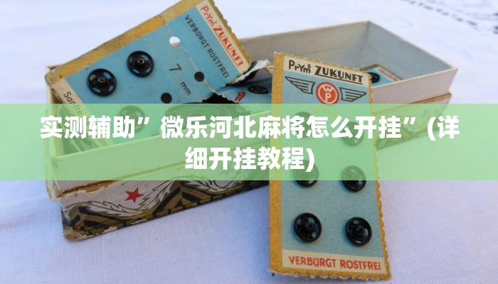 实测辅助”微乐河北麻将怎么开挂”(详细开挂教程)