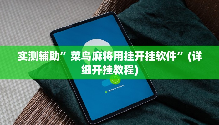 实测辅助”菜鸟麻将用挂开挂软件”(详细开挂教程)