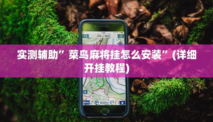 实测辅助”菜鸟麻将挂怎么安装”(详细开挂教程)