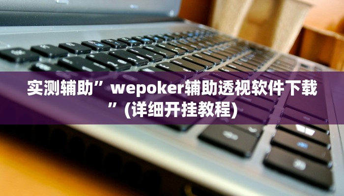 实测辅助”wepoker辅助透视软件下载”(详细开挂教程)