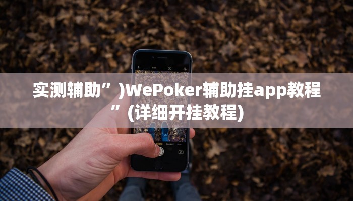 实测辅助”)WePoker辅助挂app教程”(详细开挂教程)