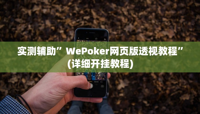 实测辅助”WePoker网页版透视教程”(详细开挂教程)
