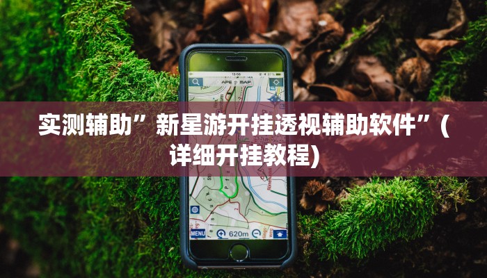 实测辅助”新星游开挂透视辅助软件”(详细开挂教程)