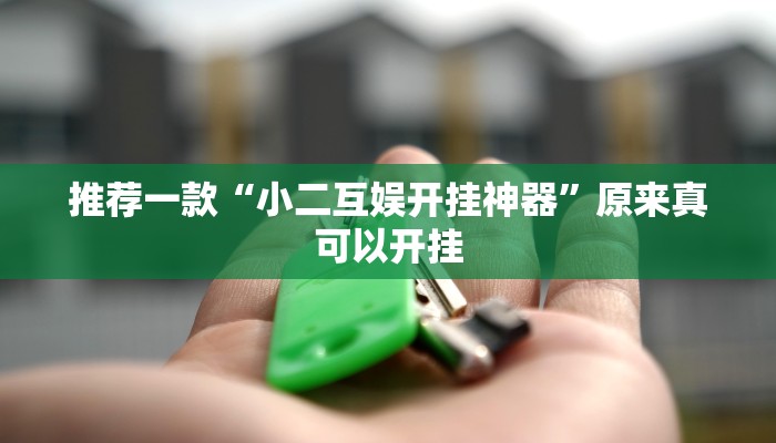 推荐一款“小二互娱开挂神器”原来真可以开挂