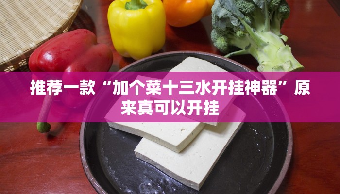 推荐一款“加个菜十三水开挂神器”原来真可以开挂