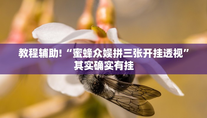 教程辅助!“蜜蜂众娱拼三张开挂透视”其实确实有挂