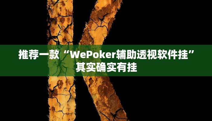 推荐一款“WePoker辅助透视软件挂”其实确实有挂