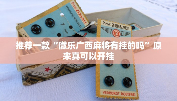 推荐一款“微乐广西麻将有挂的吗”原来真可以开挂