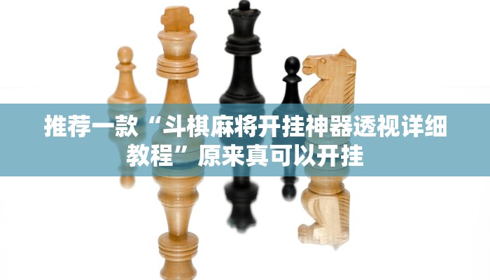 推荐一款“斗棋麻将开挂神器透视详细教程”原来真可以开挂
