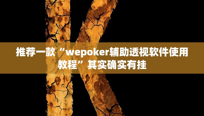 推荐一款“wepoker辅助透视软件使用教程”其实确实有挂