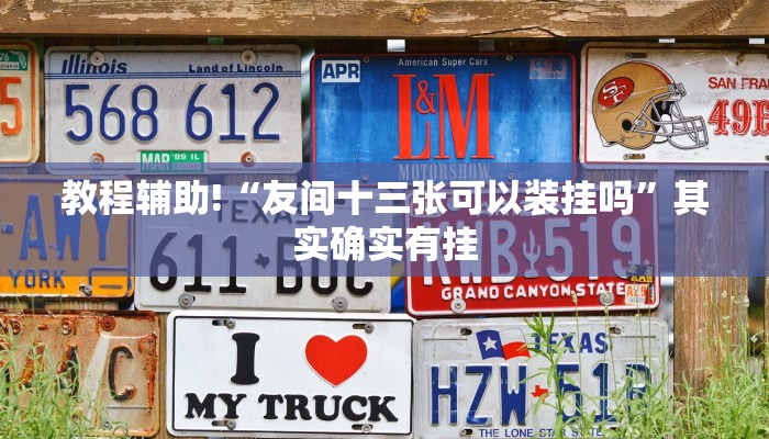 教程辅助!“友间十三张可以装挂吗”其实确实有挂