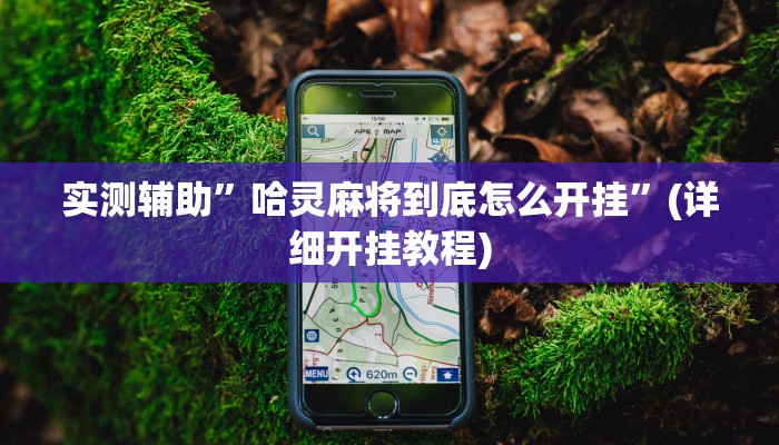 实测辅助”哈灵麻将到底怎么开挂”(详细开挂教程)